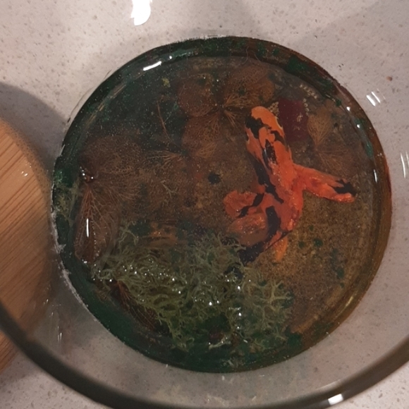 Handmade #3D #fish - Picture 5 of 7